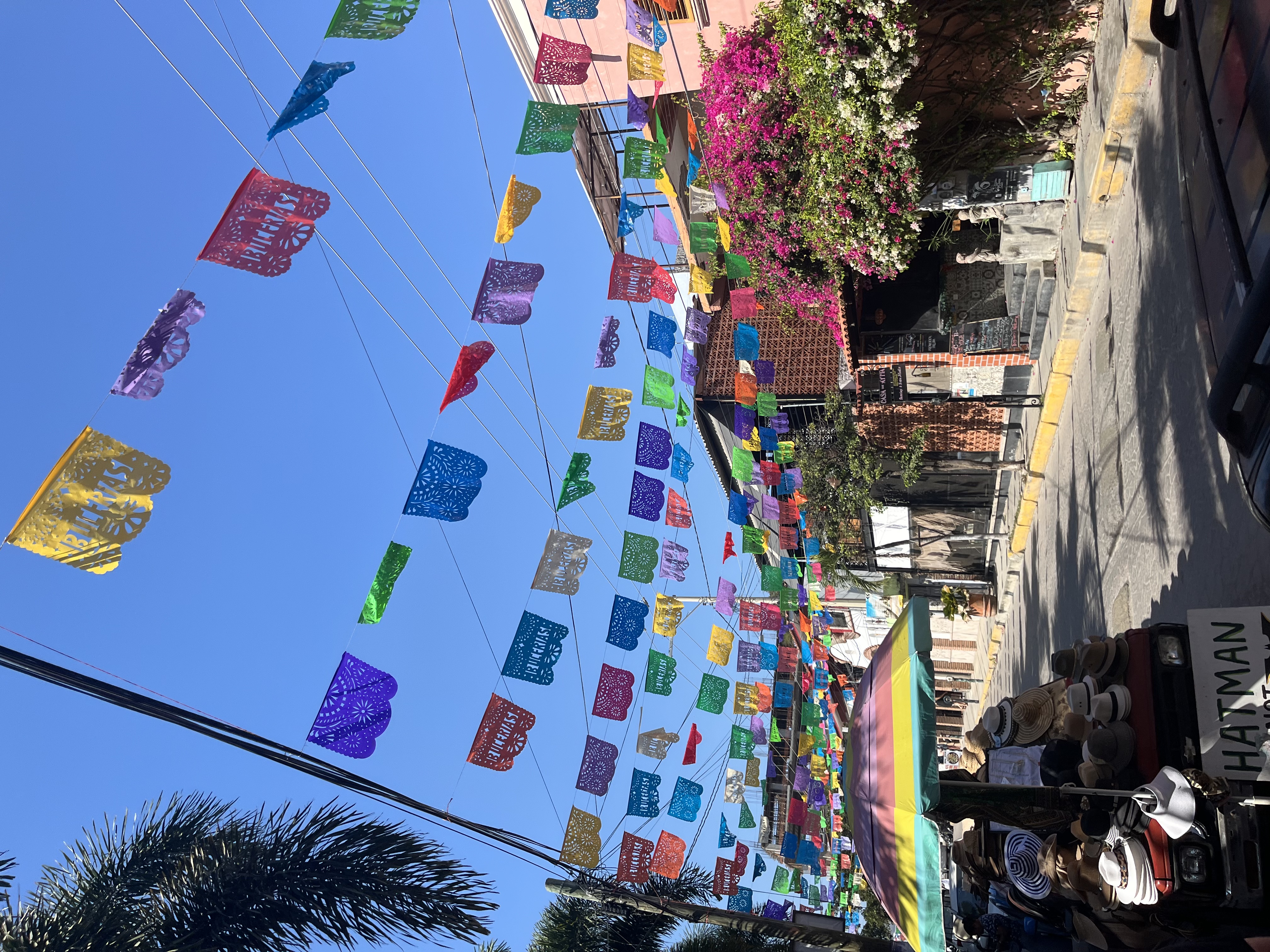 Puerto Vallarta 2024 ๐ฒ๐ฝ
